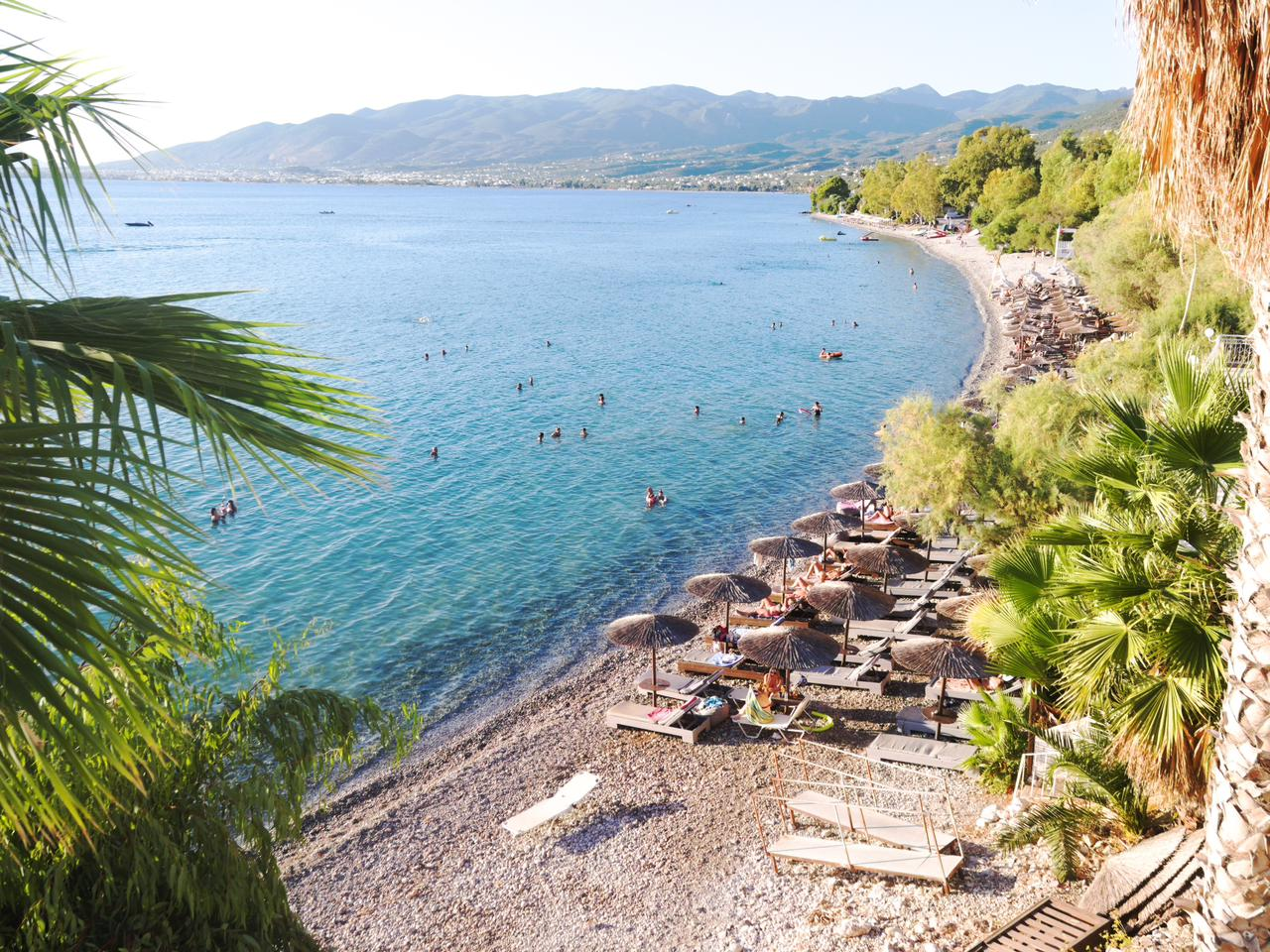 Kalamata beach framed by palm fronds with swimmers in clear water